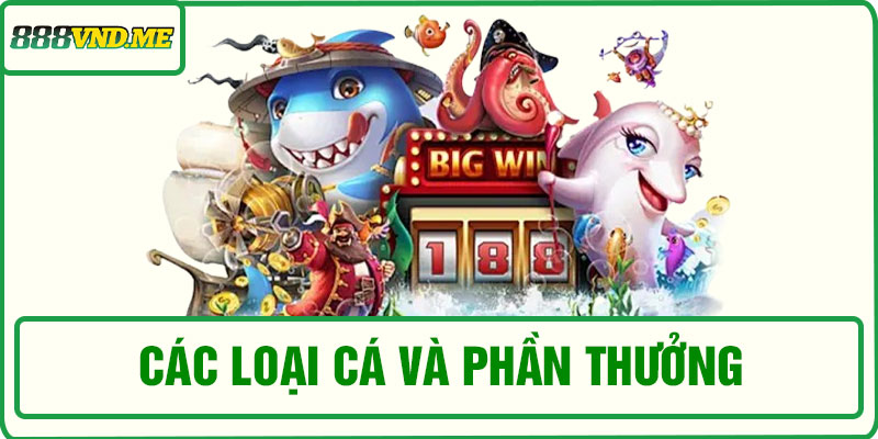 Các loại cá và phần thưởng trong game