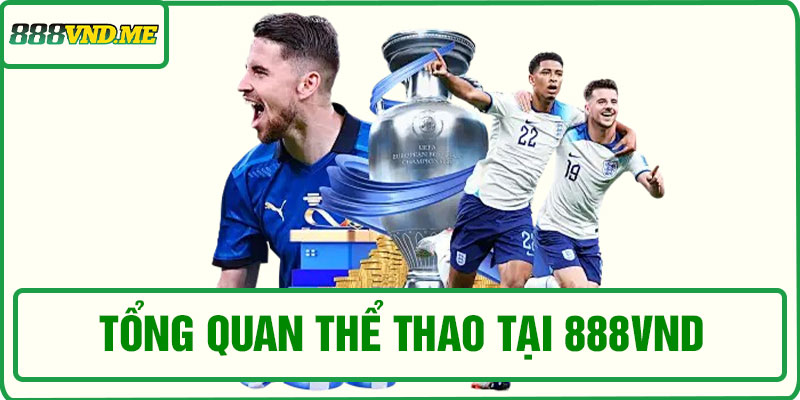 Giới thiệu nền tảng cá cược tại thể thao 888VND