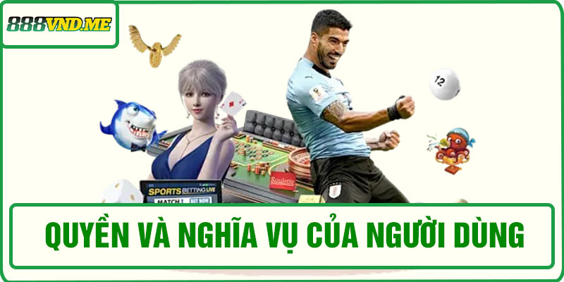 Quyền và nghĩa vụ của người dùng