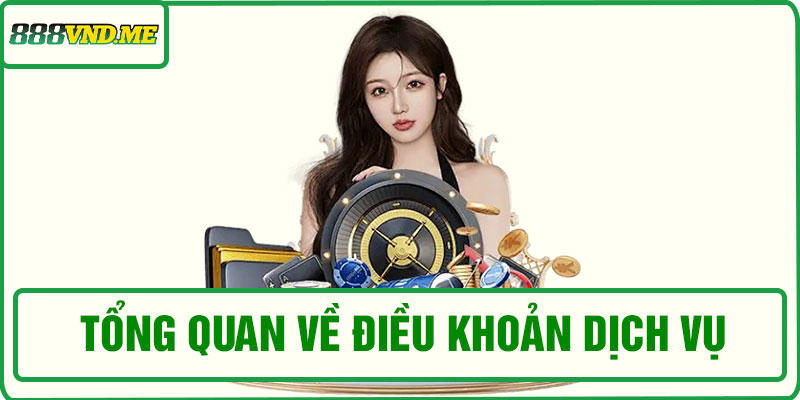 Tổng quan về điều khoản dịch vụ